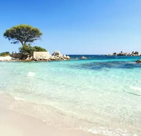 Marina-piscine Privee-wifi-acces Sporting Club Marina Di Fiori Holiday home Porto-Vecchio (Corsica)